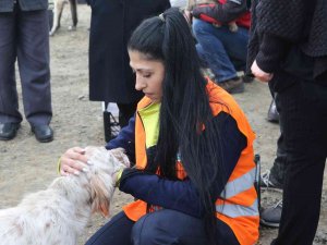 İ̇lkadım Ve Atakum’dan Sokak Hayvanlarına Mama Desteği