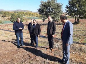 Yalova’dan Dünya Pazarına