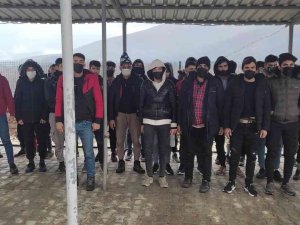 Kırklareli’nde 114 Kaçak Göçmen Yakalandı