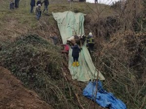 Bataklığa Saplanan İnek Kurtarıldı
