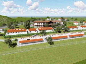 Manisa’da Sokak Hayvanları Doğal Yaşam Parkında Rehabilite Edilecek