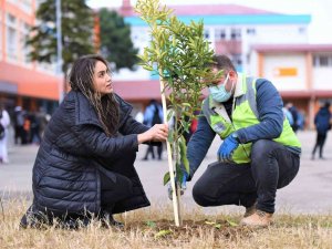 Altınordu’da Okul Bahçeleri Yeşilleniyor