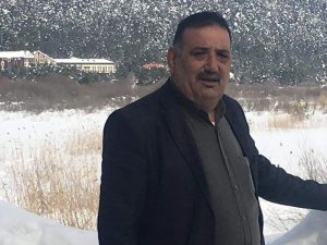 Manavgat’ta Yabani İnek Ve 8 Aylık Yavrusunu Telef Ettiler