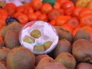 4 Tanesi 50 Tl’den Satılan Erik Hamilelerin İlgi Odağı