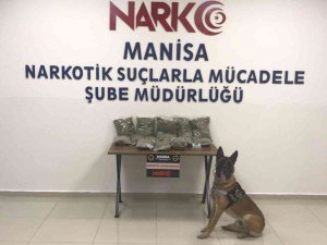 Kovalamaca Sonucu Durdurulan Araçta 10 Kilo Bonzai Ele Geçirildi