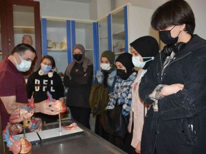 Düzce Üniversitesi Gönüllüsü Oldular