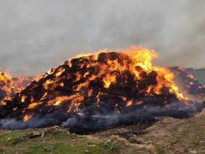 8 Bin Saman Balyası Kül Oldu