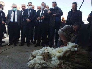 Küçükbaş Hayvanlar İçin Kırkım Makinesi Ve Püskürtmeli Banyoluk Dağıtıldı