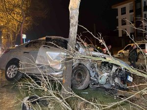 Otomobil Ağaca Asılı Kaldı