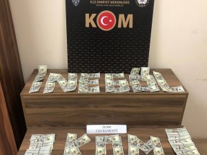 Piyasaya Sahte Dolar Sürmeye Çalışan 2 Şahıs Yakalandı, Sahte 20 Bin 500 Dolar Ele Geçirildi