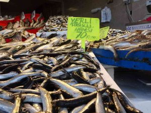 Denizden Az Çıkınca Hamsinin Fiyatı Yükseldi