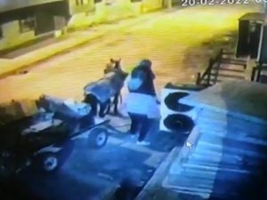 Mardin’de At Arabalı Hırsızlar Kameraya Yakalandı