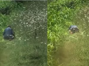 Köpeğe Cinsel Taciz Davasında Kan Donduran İfadeler