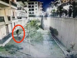 Palalı Örümcek Adam 5.kattan Aşağıya Böyle İndi...