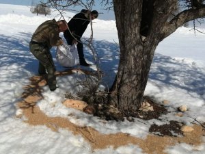 Elazığ’da Yemleme Çalışmaları Sürüyor