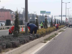 Düzce’de Bitkiler Bahara Hazırlanıyor