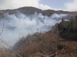 İ̇skenderun’da Orman Yangını