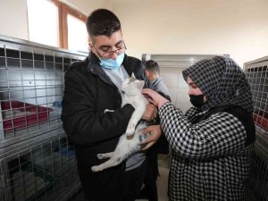 Öğrenciler Minik Dostları İle Bir Araya Geldi