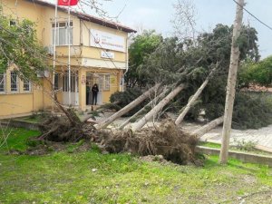 Hatay’da Fırtına Çatıları Uçurdu Ağaçları Kökünden Söktü