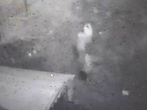 Tavşanlı’da 2 Hırsızlık Şüphelisi, Polis Ekiplerince Yakalandı