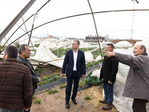 Başkan Uysal, Hortumun Vurduğu Seraları İnceledi