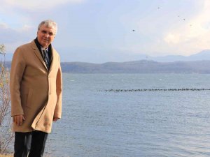 Sapanca Gölü’nden Sevindiren Haber