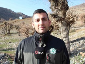 Siirt’te Yaralı Bulunan Sülün Tedavisinin Ardından Doğaya Salındı