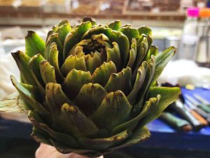 Enginar Tezgahtaki Yerini Aldı