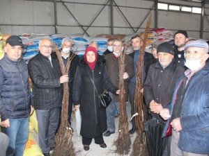 Tavşanlı’da 115 Üreticiye 6 Bin 400 Ceviz Fidanı