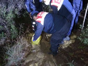 Mezarlık Yakınındaki Ormanlık Alanda Ağzı Bağlanmış Köpek Cesedi Çıktı