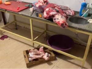 Bilecik’te Kilolarca Kokmuş Et Ve Tavuk Ele Geçirildi