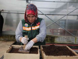 Gölbaşı Belediyesi Ata Tohumlarını Toprakla Buluşturdu