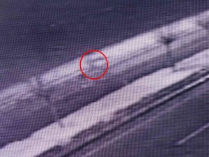 Muş’ta Nehre Düşen Yağmur’u Arama Çalışmaları 62. Saatinde Devam Ediyor