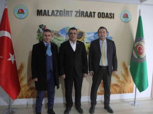 Malazgirt Ziraat Odasından Şeker Pancarı Bilgilendirme Toplantısı
