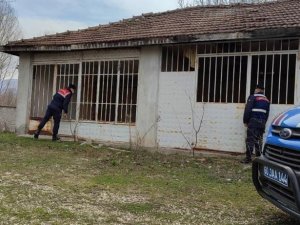 Polis Ve Jandarmadan “Düzensiz Göç İle Mücadeleye Yönelik Huzur” Uygulaması