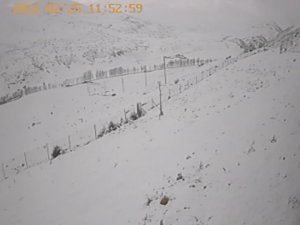 Kayseri’de Vatandaşları Tedirgin Eden Ses