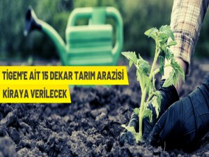 14 dekar üretim tesisi kiraya verilecek