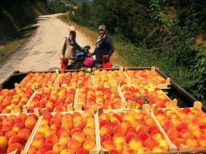 Osmaneli’nde Meyve Suyu Üretimi Tesisi Faaliyete Geçecek