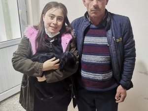 Gediz’de Numune Olarak Alınan Oğlak Sağlığına Kavuştu