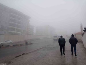 Hakkari’de Yoğun Sis Hayatı Olumsuz Etkiliyor