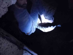 43 Yıl Hapis Cezası Bulunan Şüpheli Evinin Altına Yaptığı Sığınakta Yakalandı