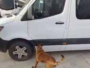 Siirt’te Uyuşturucu Operasyonunda 2 Tutuklama