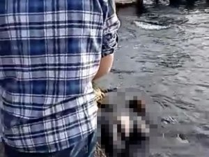 Sarıyer’de Denizden Kadın Cesedi Çıktı