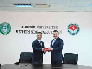 Sokak Hayvanları İçin Güç Birliği