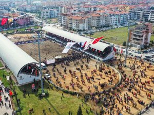 10 Binlerce Denizlili Deve Güreşi Heyecanını Doyasıya Yaşadı