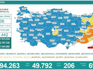 Son 24 Saatte Korona Virüsten 206 Kişi Hayatını Kaybetti