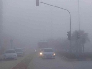 Kilis’te Yoğun Sis Etkili Oldu