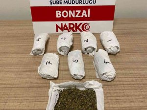 Kütahya’da Bir Şahsın Üzerinde Bonzai Ele Geçirildi