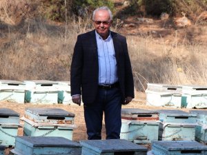 İ̇klim Krizi Arıları Da Vurdu