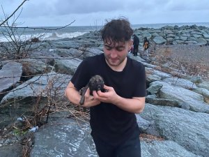 Deniz Kenarındaki Kayalıklarda Doğuran Köpek Ve Yavruları İçin Vatandaşlar Seferber Oldu